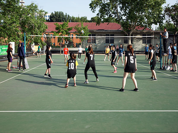 1527206981468960.jpg 3.jpg